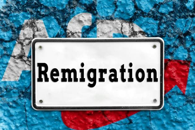 January 14, 2024: Sign on a broken wall with AfD Alternative for Germany logo with the inscription Remigration FOTOMONTAGE *** Schild an einer zerbrochenen Wand mit AfD Alternative für Deutschland Logo mit der Aufschrift Remigration FOTOMONTAGE