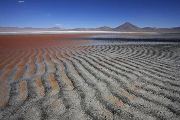  Der Salzsee Laguna Colorada auf dem Altiplano, Bolivien, Südamerika *** the Salt lake Laguna Colorada at the Altiplano, Bolivia, South America Copyright: imageBROKER/alimdix/xArterrax/xMaricaxvanxderxMeer ibltsm10062273.jpg