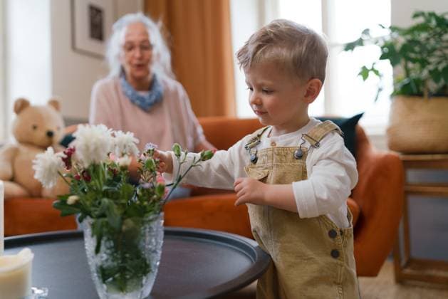 Little boy looking at flowers in vase. Little boy looking at flowers in a vase. model released Copyright: xx HHH SOLO MH GRANDMOTHER BS 2023 HHH 180.jpeg