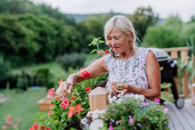 IMAGO Creative: Sommer, Sommertage im Garten Mature woman in garden at home taking care of flowers. A mature woman in garden at home taking care of flowers. model released Copyright: xx HHH SOLO TZ LUBKA GARDENING 2022 HHH 279