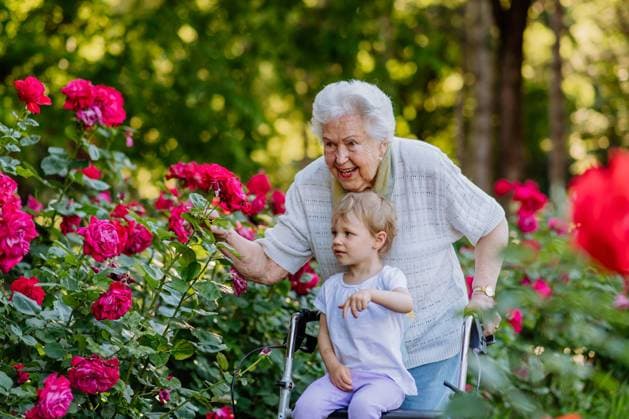 Great grandmother on walk with wwalker with her granddaughter in park in summer , generation family concept. A great grandmother on walk with wwalker with her granddaughter in park in summer , generation family concept. model released Copyright: xx HHH SOLO TZ LUCKA OLGA DETI 2022 HHH 203