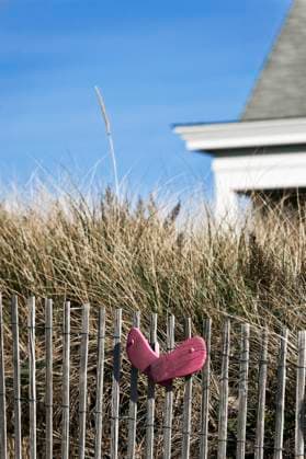 Ballston Beach house Truro Cape Cod Massachusetts Ballston Beach, Truro, Cape Cod, Massachusetts, USA Truro Massachusetts United States EDITORIAL USE ONLY Copyright: xJohnxGreimx JohnxGreimx jgrmphotos004294