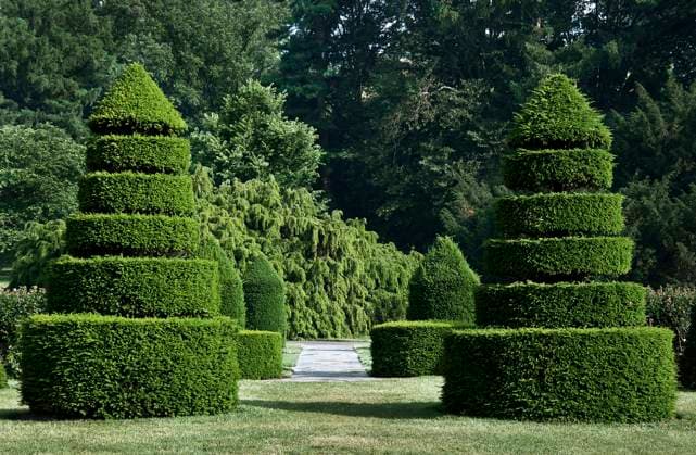 Topiary Garden Longwood Gardens Pennsylvania Topiary Garden, Longwood Gardens, Kennet Square, Pennsylvania, USA. Kennet Square Pennsylvania United States EDITORIAL USE ONLY Copyright: xJohnxGreimx JohnxGreimx jgrmphotos004553