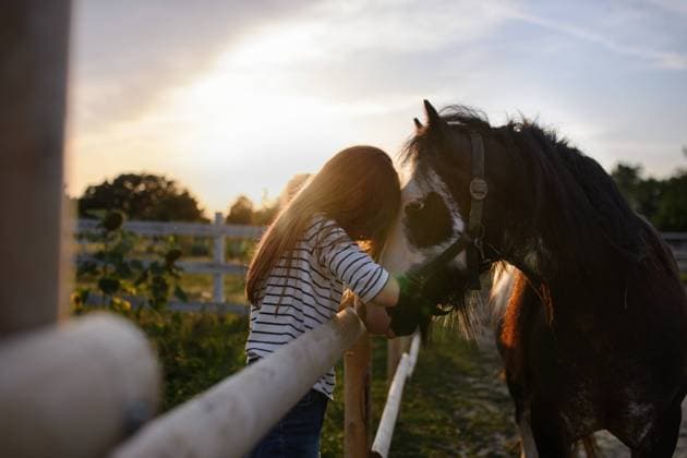 IMAGO Creative, Kinder auf dem Reiterhof Little girl hugging horse outdoors at community farm. A little girl hugging horse outdoors at community farm. model released Copyright: xx Community_Farming_II_2021_430