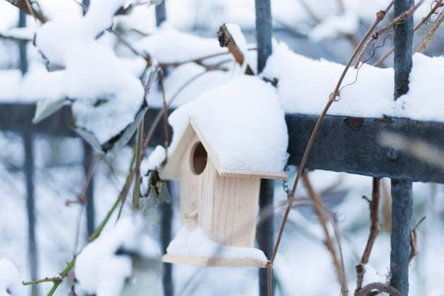 Tief Gertrude bringt Schnee nach Düsseldorf Vogelhaus. Tief Gertrude bringt Schnee nach Düsseldorf am 18.01.2024. Die winterliche Wetterlage in Düsseldorf wird durch das Tiefdruckgebiet Gertrude geprägt, das für einen unerwarteten Schneefall sorgt. Am 18. Januar 2024 verwandelt sich die Stadt in eine malerische Winterlandschaft, da dicke Schneeflocken vom Himmel fallen und die Straßen, Bäume und Dächer in ein weißes Gewand hüllen. Die ungewöhnliche Schneedecke sorgt für eine besondere Atmosphäre, während die Bewohner sich auf den winterlichen Zauber einstellen. *** Bird house. Low pressure system Gertrude brings snow to Duesseldorf on January 18, 2024. The wintry weather conditions in Duesseldorf are characterized by the low Copyright: xPieroxNigrox