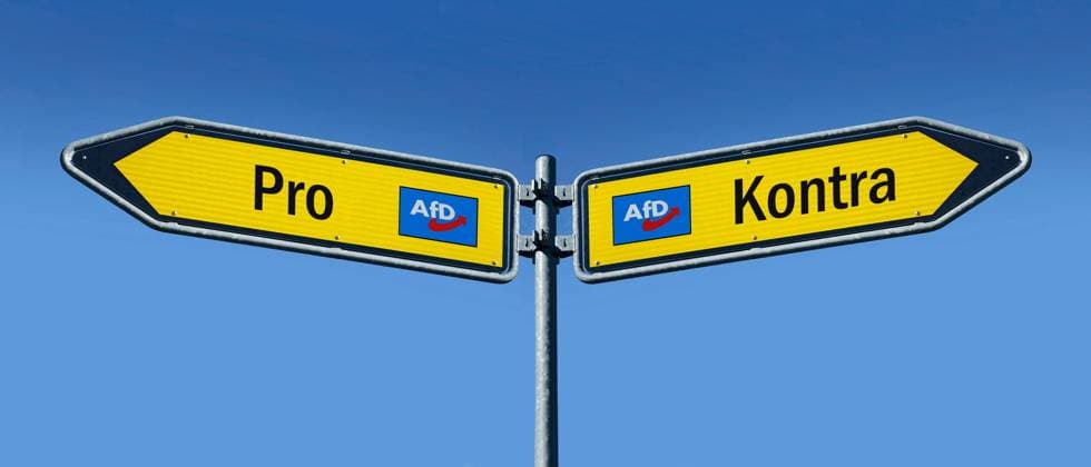 zwei Wegweiser mit AfD-Logo sowie Pro und Kontra zwei Wegweiser mit AfD-Logo sowie Pro und Kontra, 20.01.2024, Borkwalde, Brandenburg, In zwei Richtungen zeigen Wegweiser mit AfD-Logos und den Schriftzügen Pro und Kontra. *** two signposts with AfD logo and Pro and Kontra two signposts with AfD logo and Pro and Kontra, 20 01 2024, Borkwalde, Brandenburg, Signposts with AfD logos and the words Pro and Kontra pointing in two directions