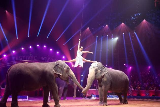 Entertainment Themen der Woche KW03 Entertainment Bilder des Tages 46eme Festival Cirque Monte-Carlo PHOTOPQR NICE MATIN Cyril Dodergny ; Monaco ; 20 01 2024 ; Monaco le 20 01 2023 - Chapiteau Fontvieille - 46eme Festival du Cirque de Monte-Carlo - Elvis et Cvetomira - Elephants 46th International circus festival in Monte Carlo on January 20, 2024. Monaco France  Copyright: xPHOTOPQR NICExMATIN MAXPPPxCyrilxDodergnyx 20240120NIM1447 20240120NIM1447