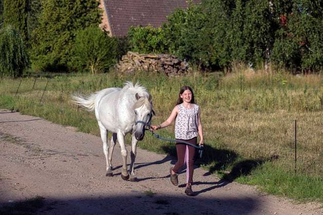 IMAGO Creative, Kinder auf dem Reiterhof Mädchen, 10 Jahre führt ihr Pferd an der Leine, Othenstorf, Mecklenburg-Vorpommern, Deutschland, Europa *** Girls, 10 Years leads their Horse to the Leash, Othenstorf, Mecklenburg Western Pomerania, Germany, Europe Copyright: imageBROKER/HelmutxMeyerxzurxCapellen ibxmzc10060993.jpg ,model released, Symbolfoto ,property released