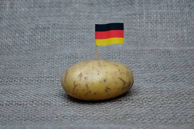 Kartoffel mit Deutschlandfähnchen Kartoffel mit Deutschlandfähnchen, 21.01.2024, Borkwalde, Brandenburg, In einer Kartoffel steckt ein Deutschlandfähnchen. *** Potato with German flag Potato with German flag, 21 01 2024, Borkwalde, Brandenburg, There is a German flag in a potato