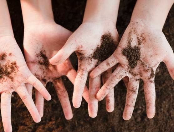 Girls holding dirt Jersey City, NJ, 21.12.2023, model released, TTBB_BLD077996.jpg, 6-7 years, 8-9 years, asian ethnicity, caucasian, childhood, close up, color image, day, detail, digging, directly above, dirt, dirty, elementary age, environment, environmental conservation, environmentalism, friend, gardener, gardening, girl, helping, high angle view, horizontal, human hand, japanese ethnicity, latin american and hispanic ethnicity, latina, messy, mixed race person, multi-ethnic group, nature, outdoors, people, photography, planting, soil, together, two people, multicultural, multiculturalism, minority, minorities2, aiding, asian, assisting, buddy, child, children, chum, close-up, closeup, color, colour, companion, companionship, comrade, Copyright: xJGI JamiexGrillx