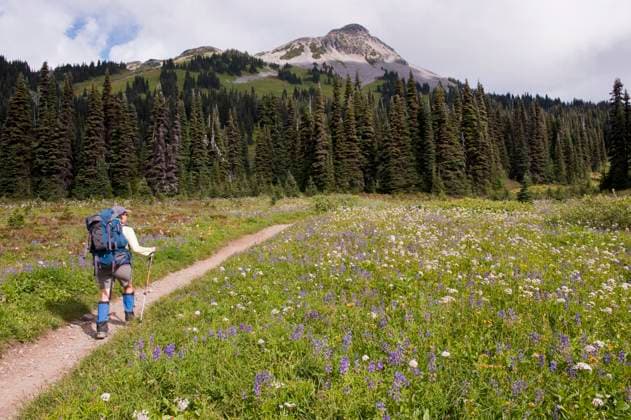 Hispanic woman hiking near mountain Squamish, British Columbia, Canada, 21.12.2023, model released, TTBB_BLD083177.jpg, 35-39 years, active, admiring, adventure, backpack, backpacker, backpacking, beauty in nature, blooming, carrying, color image, copy space, countryside, day, discovery, enjoying, environment, escape, exercise, exploration, exploring, field, fitness, freedom, full length, fun, getting away from it all, happy, hat, healthy living, hiker, hiking, holding, horizontal, idyllic, journey, landscape, latin american and hispanic ethnicity, latina, leisure activity, mid adult, mountain, nature, one person, outdoors, path, people, photography, physical fitness, rear view, recreation, remote, rural scene, scenic view, ski pole, sprin Copyright: xDarrylxLeniukx