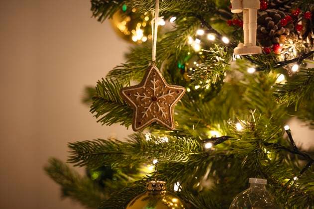 Star shaped ornament hanging on Christmas tree, ALKF00910