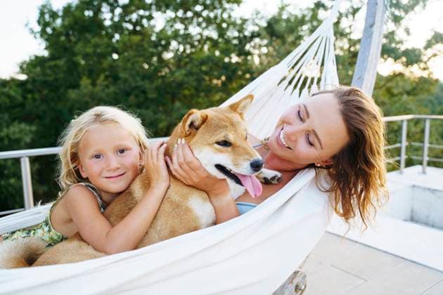 Smiling mother and daughter petting Shiba Inu dog in hammock model released, Symbolfoto property released, NJAF00702