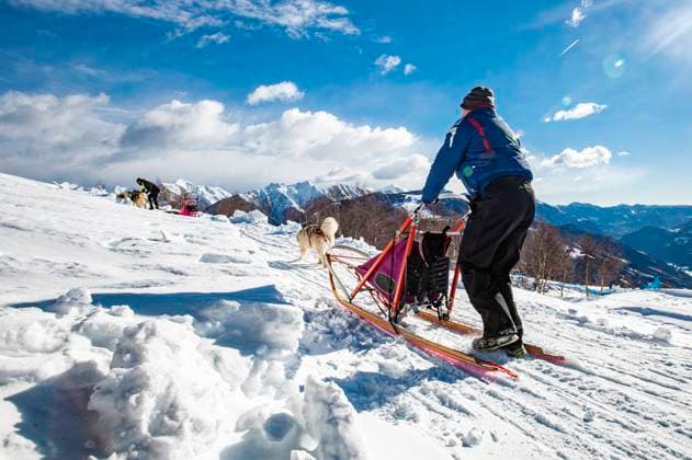 Sled dog scene in the Italian alps Sled dog scene in the Italian alps Copyright: xZoonar.com NicolaxColombox 20932583