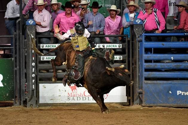 TAMWORTH COUNTRY MUSIC FESTIVAL 2024, A rider competes in the bull ride at the National Finals Rodeo during the 52nd Tamworth Country Music Festival in Tamworth, New South Wales, Friday, January 26, 2024. The biggest music festival in the country returns, with the 52nd Golden Guitar awards to be announced. ( NO ARCHIVING, EDITORIAL USE ONLY, NO USE IN BOOKS WITHOUT CONSENT TAMWORTH NEW SOUTH WALES AUSTRALIA  Copyright: xBIANCAxDExMARCHIx 20240126001893875224