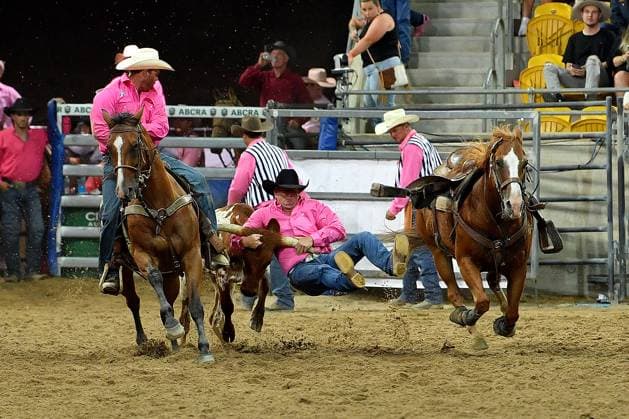 TAMWORTH COUNTRY MUSIC FESTIVAL 2024, Riders compete in the steer wrestling at the 2024 ABCRA National Finals Rodeo during the 52nd Tamworth Country Music Festival in Tamworth, New South Wales, Friday, January 26, 2024. The biggest music festival in the country returns, with the 52nd Golden Guitar awards to be announced. ( NO ARCHIVING, EDITORIAL USE ONLY, NO USE IN BOOKS WITHOUT CONSENT TAMWORTH NEW SOUTH WALES AUSTRALIA  Copyright: xBIANCAxDExMARCHIx 20240126001893880996