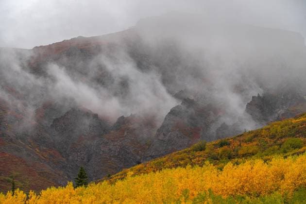 Creative Highlights World Blick auf Berg Details mit Herbstfarben und Nebel Interior Alaska USA *** View at mountain Details with Autumn Colours and Fog Interior Alaska USA Copyright: imageBROKER/ xLoredanaxDexSole ibllld10096803.jpg