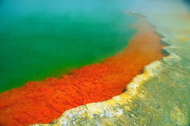 Creative Highlights World Heiße Quelle mit dampfendem Wasser, rote Algen in einem grünen heißen See bei Rotorua, Schwefelvorkommen, Nordinsel, Neuseeland, Ozeanien *** hot Source with dampfendem Water, red Algae in a Greens Hot Lake at Rotorua, Sulphur deposits, North Island, New Zealand, Oceania Copyright: imageBROKER/Dirkxv.xMallinckrodt ibldvm10122936.jpg