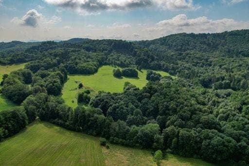 A breathtaking aerial view of thick dark trees covering vibrant hills in the Stolowe Mountains National Park 2663843