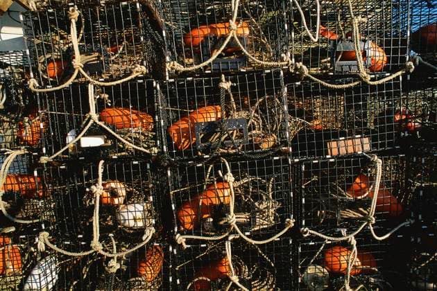 Detail of lobster traps Detail of lobster traps <br>Model Release: No<br>Property Release: No EDITORIAL USE ONLY Copyright: xx VOA3-0652 JoexSohmx voaphotos022773