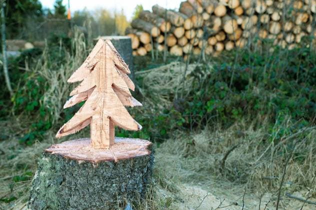 Tannenbaum die Kunst im Wald Tannenbaum die Kunst im Wald, Fir tree art in the forest, Copyright: xZoonar.com gero.bx 4477683