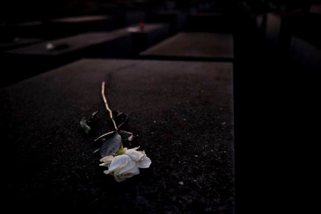 Deutschland, Berlin, 27.01.2024, Holocaust Mahnmal, Jahrestags der Befreiung des Vernichtungs- und Konzentrationslagers Auschwitz-Birkenau, weiße Rose, Rolf Zoellner Holocaust Gedenktag