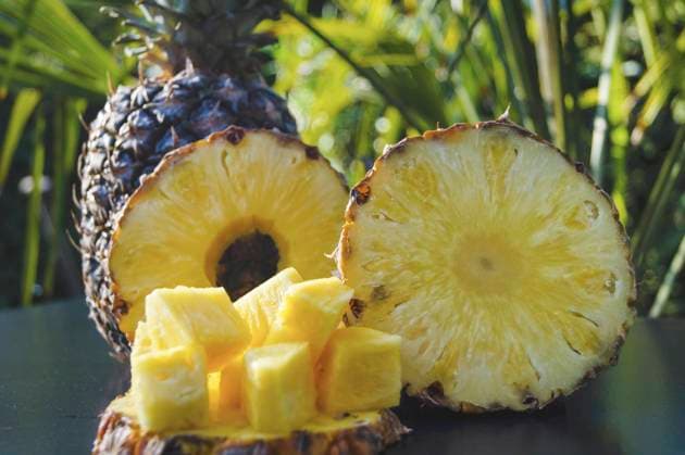 Ananas (Ananas comosus, Ananas sativus), ganze Frucht, Ananasscheiben und Ananasstuecke auf einem Tisch, Frischobst pineapple (Ananas comosus, Ananas sativus), whole fruit, pineapple slices and pineapple chunks on a table, fresh fruits BLWS702145 *** Pineapple Pineapple comosus, Pineapple sativus , Whole Fruit, Pineapple slices and Ananasstuecke at a Table, Fresh fruit Pineapple Pineapple comosus, Pineapple sativus , Whole fruit, Pineapple slices and Pineapple chunks ON a table, Fresh Fruits BLWS702145 Copyright: xblickwinkel Steidix