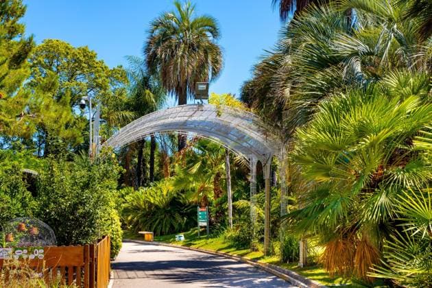 Nice, France - July 30, 2022: Parc Phoenix Park botanic and zoology garden with greenhouse and outdoor flora in Ouest Grand Arenas district of Nice on French Riviera  BEW1E4CBC0C