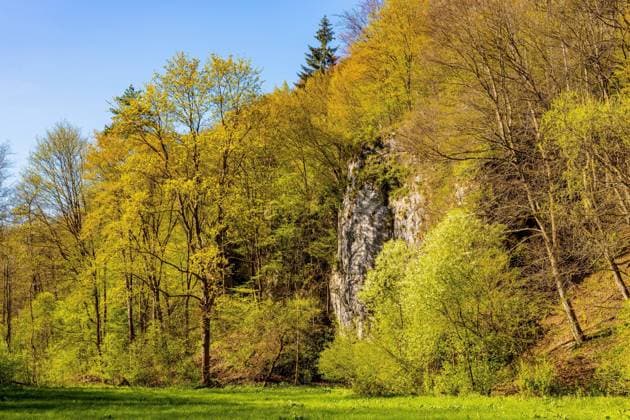 Saspowska Valley nature park and reserve along Saspowka creek in spring season within Jura Krakowsko-Czestochowska Jurassic upland near Cracow in Lesser Poland  BEW1E4CC190