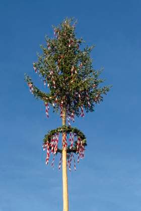 Maibaum, Österreich *** Maypole, Austria 1065532123