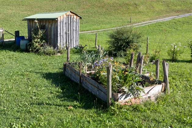 IMAGO Creative: Garten, Anbau im Hochbeet Schrebergarten, Hochbeet *** Allotment garden, raised bed 1065532462