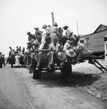 Peach pickers being driven to the orchards in Muscella, Georgia, 1936 (b w photo) 1249077 Peach pickers being driven to the orchards in Muscella, Georgia, 1936 (b w photo) by Lange, Dorothea (1895-1965); Private Collection; (add.info.: Peach pickers earned 75 cents a day). Copyright: xBridgemanxImagesx 1249077