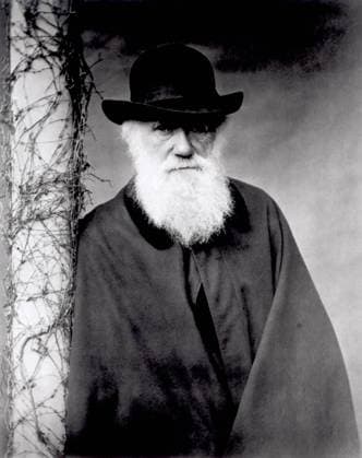 Portrait of Charles Darwin, 1881 (b w photo) XJF137417 Portrait of Charles Darwin, 1881 (b w photo) by English Photographer, (19th century); Private Collection; (add.info.: Charles Darwin (1809-82) at Down House, English naturalist and geologist, best known for his contributions to evolutionary theory. Elliott & Fry Photography Studio (1863-early 20th century)). Copyright: xBridgemanxImagesx 137417