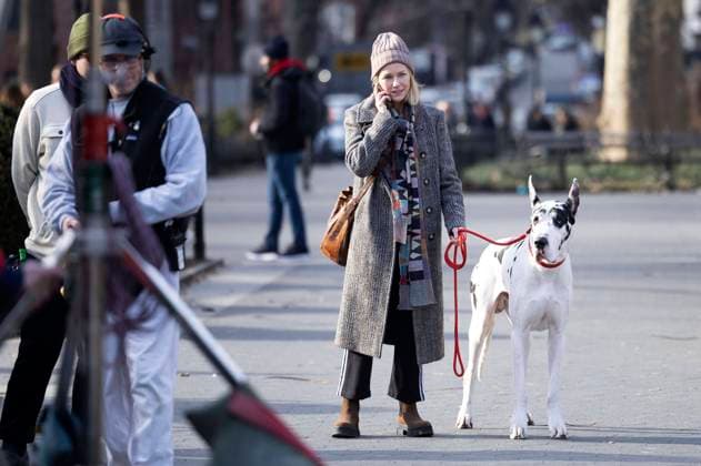 Bilder des Jahres 2024, Entertainment 02 Februar Entertainment Themen der Woche KW06 Entertainment Bilder des Tages Naomi Watts mit Dogge Bing bei Dreharbeiten zum Kinofilm The Friend im Washington Square. New York, 08.02.2024 *** Naomi Watts with Great Dane Bing during the filming of the movie The Friend in Washington Square New York, 08 02 2024 Foto:xM.xCranex xFuturexImagex watts_4208