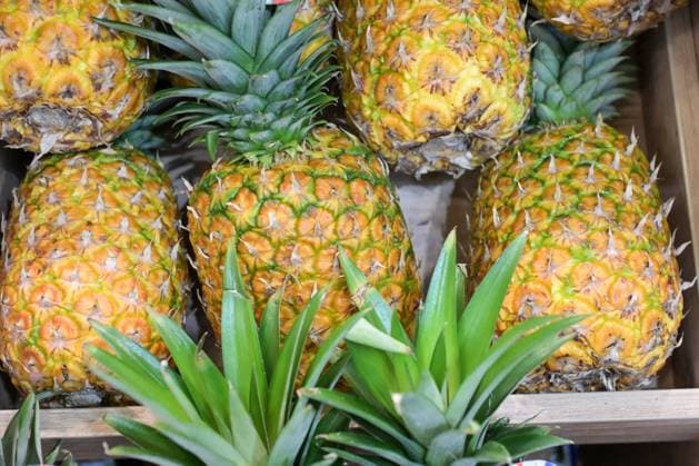 Berlin, Deutschland 07.- 09. Februar 2024: Fruit Logistica - 2024 Im Bild: Kiste mit Ananas *** Berlin, Germany 07 09 February 2024 Fruit Logistica 2024 In the picture box with pineapple Copyright: xFotostandx xReuhlx