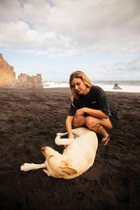Creative Highlights Symbolbilder Labrador retriever dog enjoying the sand on a beach in Tenerife Santa Cruz de Tenerife, Canary Islands, Spain CR_AICA240207-1347807-01 ,model released, Symbolfoto