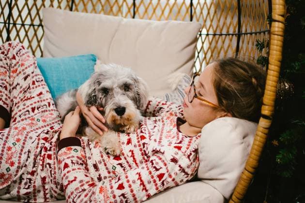 Girl with glasses and braids hugs schnauzer puppy in basket chair Gurnee, Illinois, United States R_WVNP240209-1350306-01 ,model released, Symbolfoto