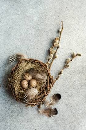 From above of rustic Easter flatlay with a nest of speckled eggs, feathers, and pussy willow branches on a textured grey backdrop Model Released AnnaBogush_ID19161_569975_002 Copyright: xAnnaxBogushx