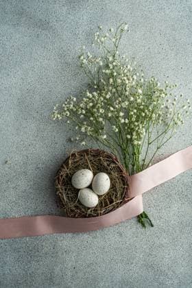 Top view of speckled Easter eggs nestled in a rustic basket, adorned with soft-pink ribbon and delicate white flowers, arranged on a speckled gray background. Model Released AnnaBogush_ID19406_575251_015 Copyright: xAnnaxBogushx