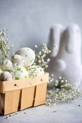 A selection of decorated Easter eggs nestled in a wooden basket alongside sprigs of gypsophila, with a soft gray background Model Released AnnaBogush_ID19528_579167_002 Copyright: xAnnaxBogushx