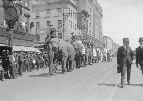 Circus Parade, New York City, New York, USA, Bain News Service, April 1920 (b w photo) 5858536 Circus Parade, New York City, New York, USA, Bain News Service, April 1920 (b w photo) by Bain, George Grantham - Bain News Service (1865-1944); Private Collection. Copyright: xBridgemanxImagesx 5858536