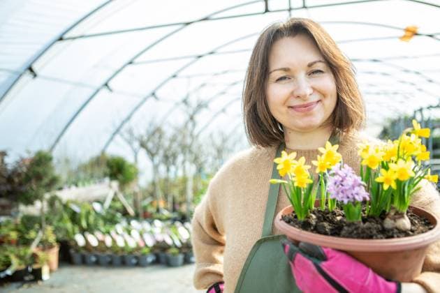 Gardener with flowers A mature woman as a gardener in a nursery with flower pots.