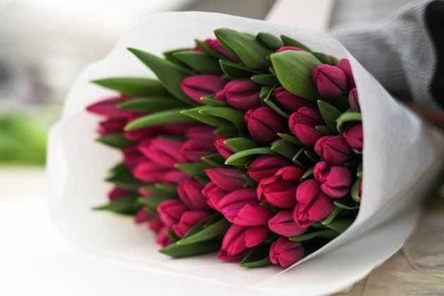Russia Flower Growing 8625683 21.02.2024 A view shows the packing and sorting process of tulips at the greenhouse of the Tulpan Concept company ahead of International Women s Day celebrated on March 8, in Novosibirsk, Russia. Alexandr Kryazhev Sputnik Novosibirsk Russia  Copyright: xAlexandrxKryazhevx