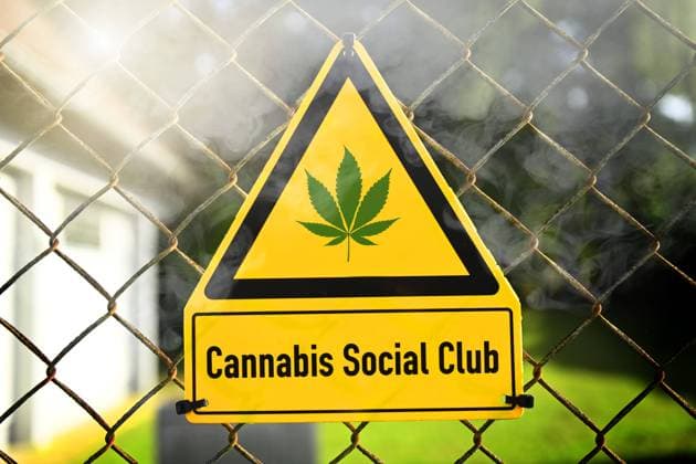 FOTOMONTAGE, Schild mit Hanfblatt und Aufschrift Cannabis Social Club *** FOTOMONTAGE, sign with hemp leaf and inscription Cannabis Social Club ** NUR FUER REDAKTIONELLE ZWECKE ** EDITORIAL USE ONLY **