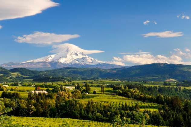 Farmland and orchards around Hood River, Oregon, USA. Mt. Hood in Oregon is in the background.  Copyright: x AllxCanadaxPhotosx 1990-76185