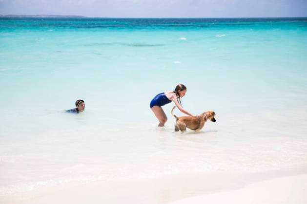 Young Girl Plays With Dog While Swimming in Caribbean Ocean Blowing Point Village, Anguilla CR_EMJA240225-109046-01 ,model released, Symbolfoto