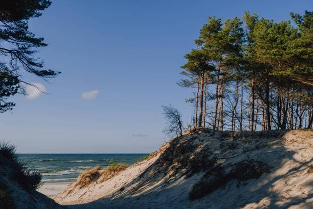 Grass sand dune beach sea view, Leba, Baltic Sea, Poland ?eba, Pomeranian Voivodeship, Poland R_PJWUOI240227-1357639-01