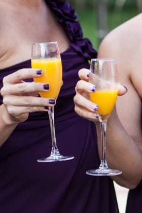 Bridal party cheers with mimoas on wedding day Ferndale, California, United States R_QVAE240227-1356436-01