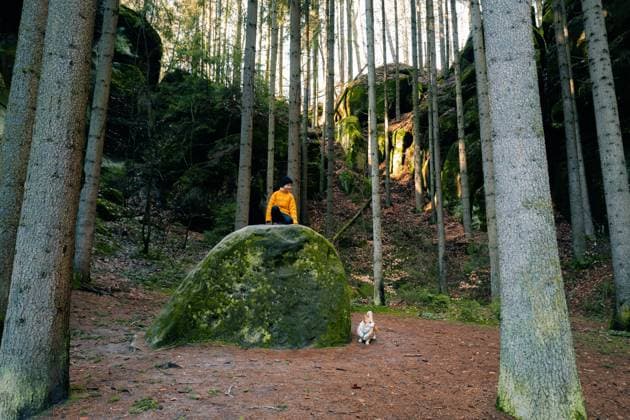 Boy and his corgi dog on a large rock in the forest Hrubá Skála, Liberec Region, Czechia R_UJEL240227-1356239-01 ,model released, Symbolfoto
