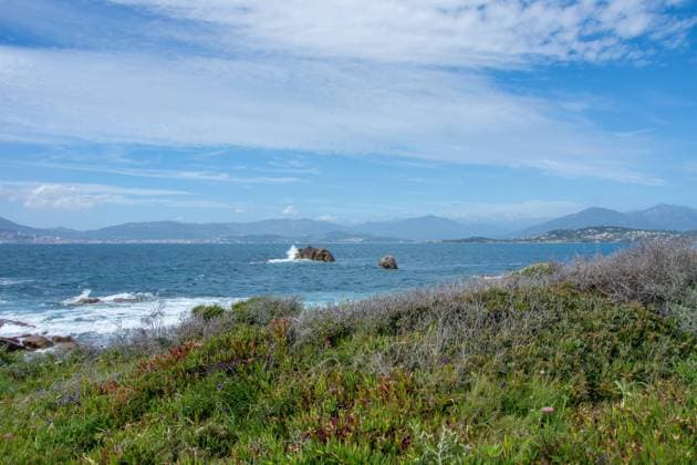 discovery of the island of beauty in southern Corsica, France discovery of the island of beauty in southern Corsica in May, France Copyright: xZoonar.com sebastienxhovaguimianx 17430819